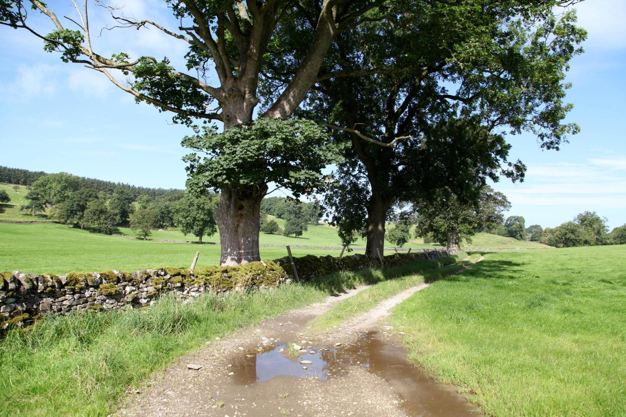 Green Grove Country House Malham Exterior foto
