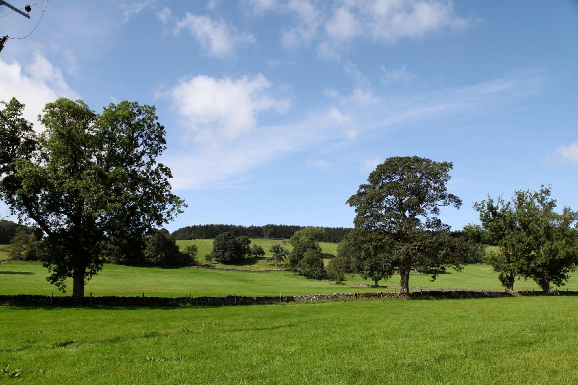Green Grove Country House Malham Exterior foto