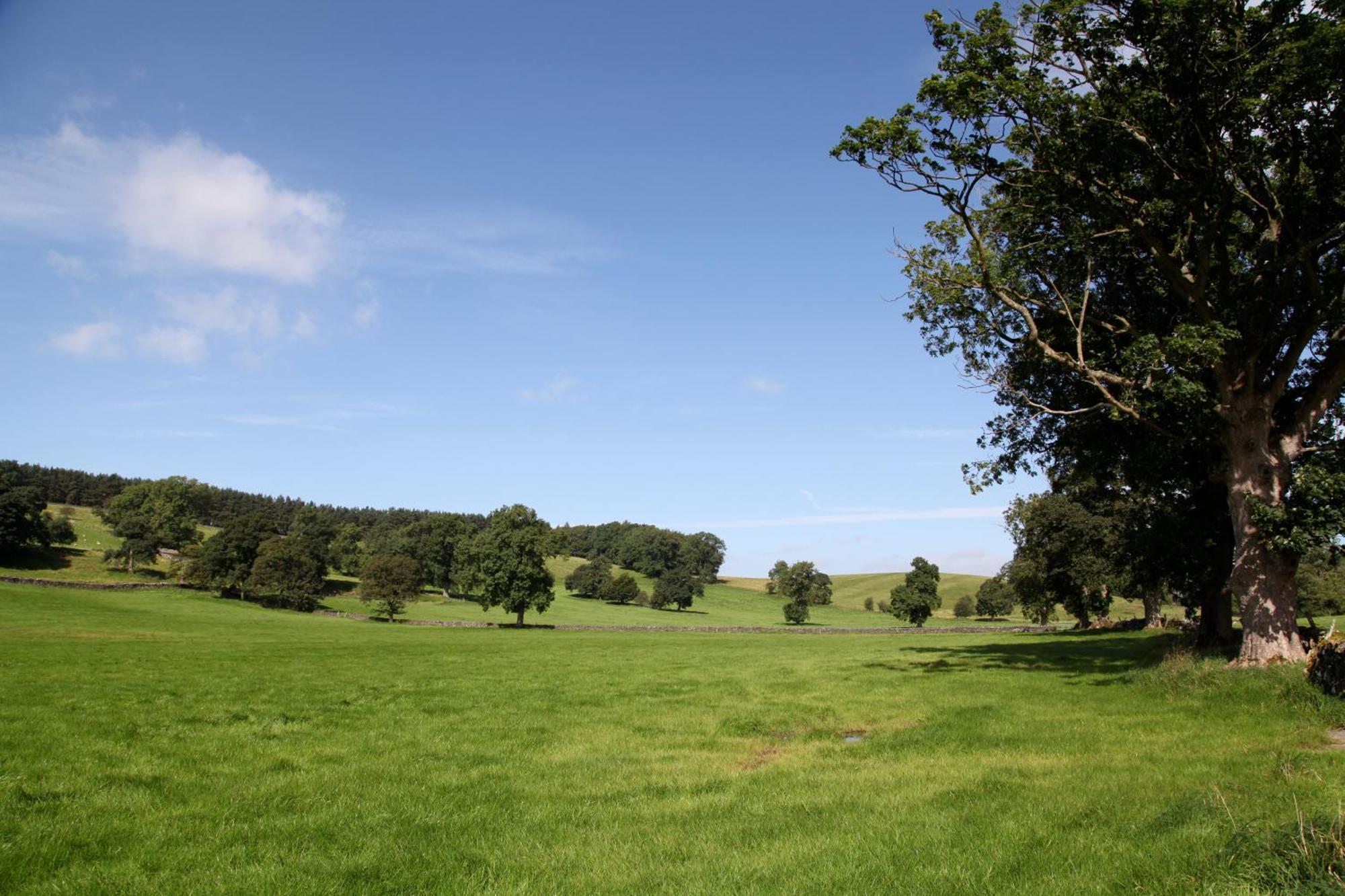 Green Grove Country House Malham Exterior foto